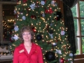 Zonta_Holiday_Auction_2013_017.sized