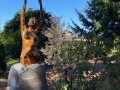 Sculpture